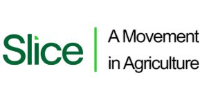 NUPAT Technologies |Tech Training School. Building Innovations, Empowering Change